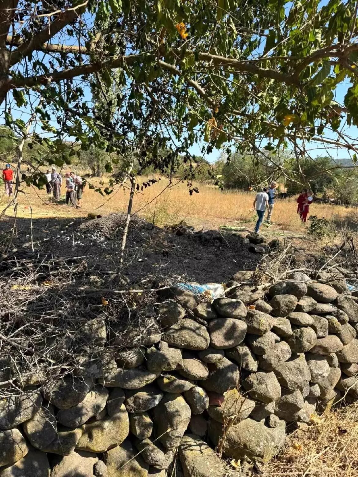 balikesirde-ot-yangini-kisa-muddette-sonduruldu-rCR7m1j6.jpg