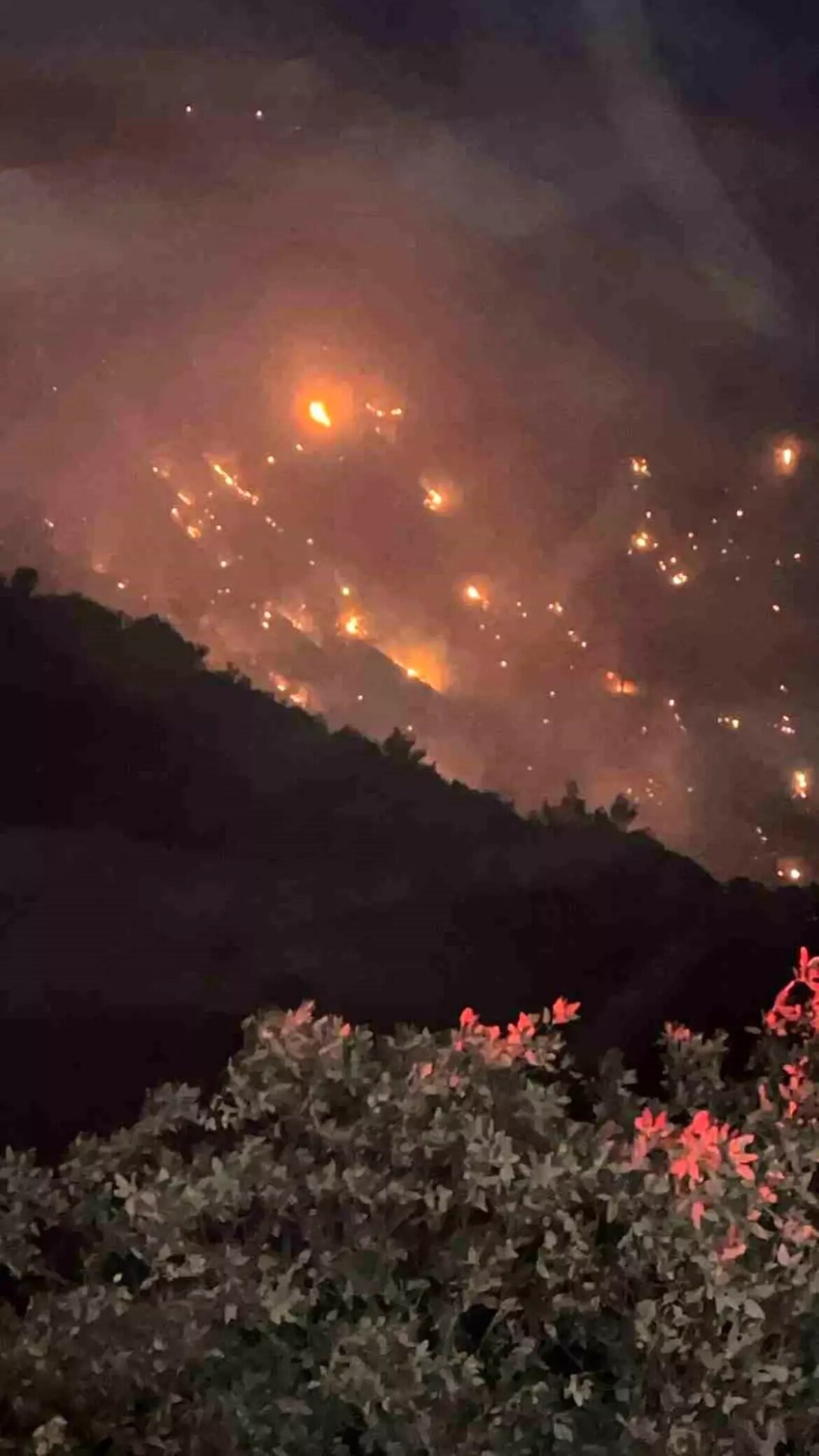 denizlideki-yangin-aydina-sicradi-E2K111Qc.jpg